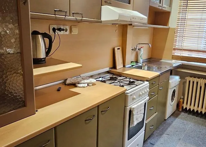 Elegant And Cozy * ソフィア