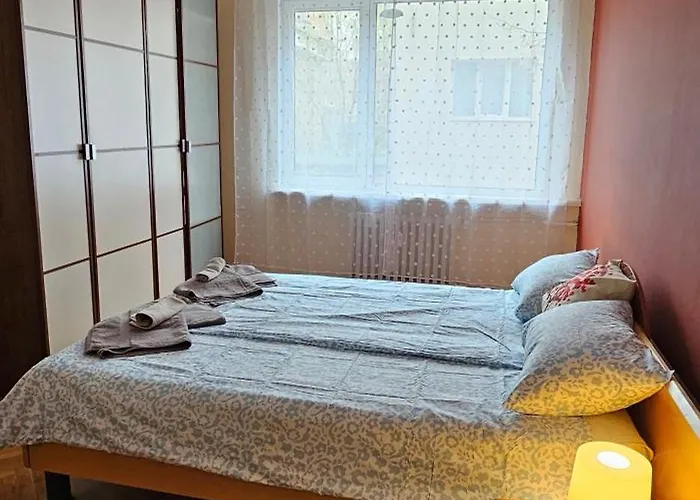 Elegant And Cozy アパート