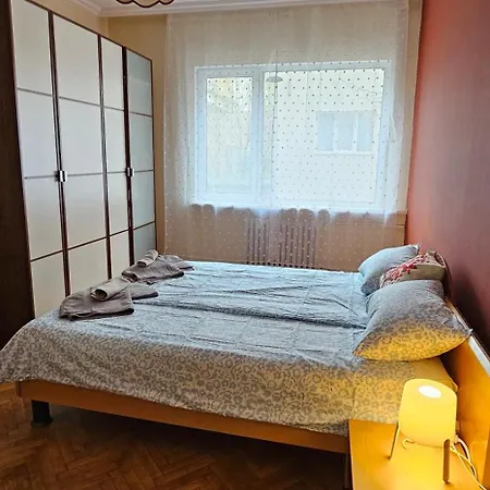 Elegant And Cozy 公寓